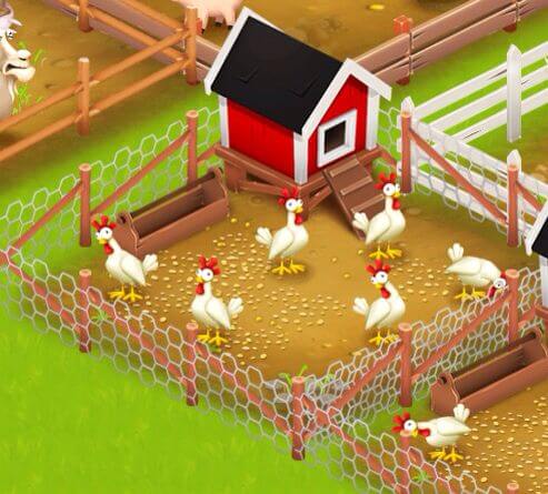 Starter Coop